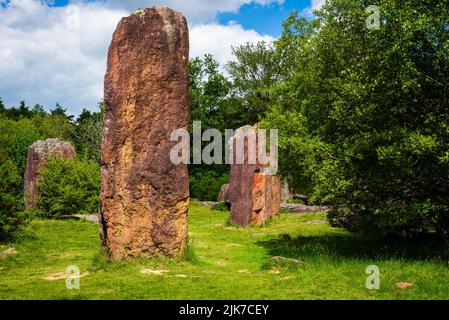 Menhirs dans la prairie de la forêt près de Monteneuf, Bretagne, France Banque D'Images