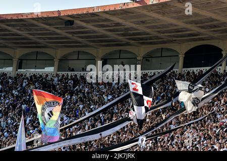 Rio de Janeiro, Brésil. 31st juillet 2022. RJ - Rio de Janeiro - 07/31/2022 - BRÉSILIEN B 2022, VASCO X CHAPECOENSE - fans de Vasco lors d'un match contre Chapioense au stade Sao Januario pour le championnat brésilien B 2022. Photo: Thiago Ribeiro/AGIF/Sipa USA crédit: SIPA USA/Alay Live News Banque D'Images