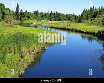 Scène de rivière, Tyne Valley, Î.-P.-É Banque D'Images