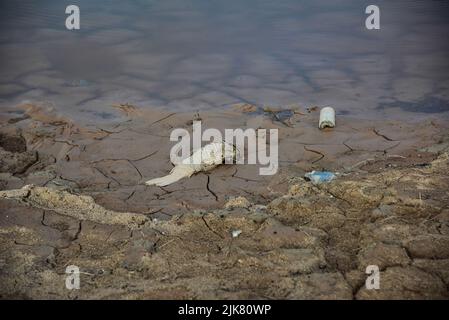 30 juillet 2022, lac Mead, Nevada, conditions de sécheresse sévère à Boulder Harbour Boat Launch près de Las Vegas. Banque D'Images