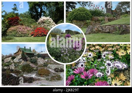 Le beau jardin Denmans avec des lits de rivière secs, des jardins en gravier, un jardin clos, un jardin d'hiver et des plantes inhabituelles. Banque D'Images
