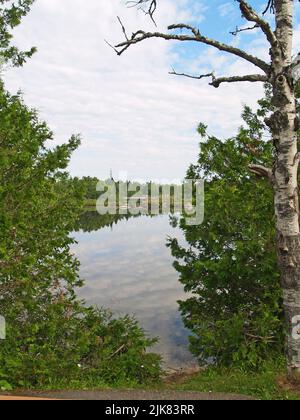 Rocklwood Park, Saint John, N.-B. Banque D'Images