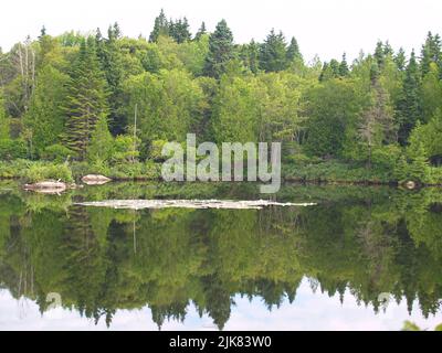 Rocklwood Park, Saint John, N.-B. Banque D'Images