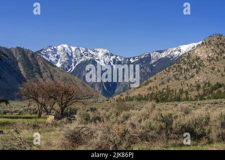 Désert de sagebrush sous le mont Chopaka, Colombie-Britannique, Canada. Banque D'Images