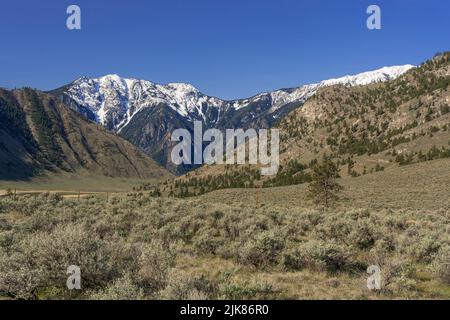 Désert de sagebrush sous le mont Chopaka, Colombie-Britannique, Canada. Banque D'Images