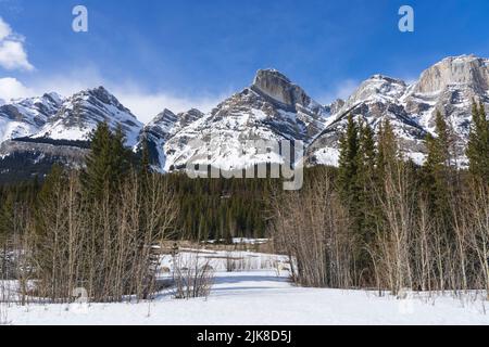 Vue sur la montagne près du Saskatchewan River Crossing, Icefields Parkway, parc national Banff, Alberta, Canada. Banque D'Images