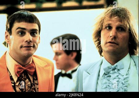 Jim Carrey & Jeff Daniels film: Dumb & Dumber; Dumd and Dumber (USA 1994) personnages: Lloyd & Harry Directeur: Peter Farrelly 06 décembre 1994 **AVERTISSEMENT** cette photographie est à usage éditorial exclusif et est le droit d'auteur d'UN NOUVEAU CINÉMA DE LIGNE et/ou du photographe assigné par la Société de film ou de production et ne peut être reproduite que par des publications dans le cadre de la promotion du film ci-dessus. Un crédit obligatoire pour UNE NOUVELLE LIGNE DE CINÉMA est requis. Le photographe doit également être crédité lorsqu'il est connu. Aucune utilisation commerciale ne peut être accordée sans l'autorisation écrite de la Société du film. Banque D'Images