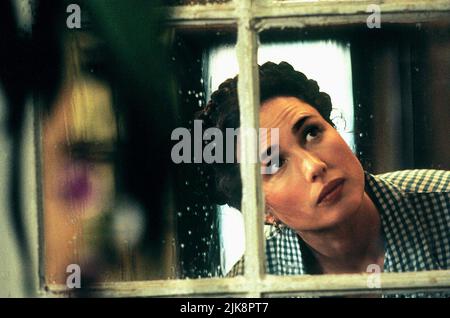 Andie MacDowell film: Green Card (1990) personnages: Bronte Directeur: Peter Weir 23 décembre 1990 **AVERTISSEMENT** cette photographie est à usage éditorial exclusif et est le copyright de TOUCHSTONE et/ou le photographe assigné par la Société de film ou de production et ne peut être reproduite que par des publications dans le cadre de la promotion du film ci-dessus. Un crédit obligatoire pour TOUCHSTONE est requis. Le photographe doit également être crédité lorsqu'il est connu. Aucune utilisation commerciale ne peut être accordée sans l'autorisation écrite de la Société du film. Banque D'Images