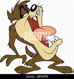 TAZ The Tasmanian Devil Television : TAZ-Mania (1991) réalisateur : Keith Baxter 07 septembre 1991 **AVERTISSEMENT** cette photographie est réservée à un usage éditorial et est la propriété de WARNER BROS et/ou du photographe désigné par The film or production Company et ne peut être reproduite que par des publications en liaison avec la promotion du film ci-dessus. Un crédit obligatoire à WARNER BROS est requis. Le photographe doit également être crédité lorsqu'il est connu. Aucune utilisation commerciale ne peut être accordée sans autorisation écrite de The film Company. Banque D'Images