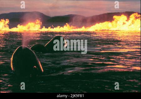 Baleines piégées par le feu film Free Willy 2 : The Adventure Home (USA/FR 1995) réalisateur : Dwight H. Little 19 juillet 1995 **AVERTISSEMENT** cette photographie est pour usage éditorial seulement et est la propriété de WARNER BROS. Et/ou le photographe désigné par le film ou la société de production et ne peuvent être reproduits que par des publications en liaison avec la promotion du film ci-dessus. Un crédit obligatoire à WARNER BROS. est obligatoire. Le photographe doit également être crédité lorsqu'il est connu. Aucune utilisation commerciale ne peut être accordée sans autorisation écrite de The film Company. Banque D'Images