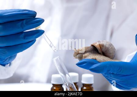Un scientifique en costume de protection avec un escargot dans ses mains. Étude des propriétés de la mucine de l'escargot. L'utilisation de mucus d'escargot en cosmétologie. Soins de la peau a Banque D'Images