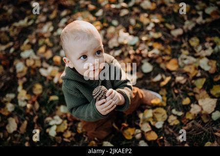 Petit garçon explorant la nature et tenant le cône de pin à l'extérieur dans la forêt d'automne. Banque D'Images