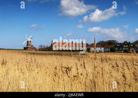 Vue sur les roseaux jusqu'à l'emblématique moulin à vent en été, CLEY, North Norfolk, Royaume-Uni Banque D'Images