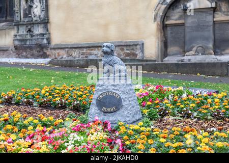 Statue de Bobby de Greyfriars dans le kirkyard de Greyfriars, fleurs d'été en fleur, centre-ville d'Édimbourg, Écosse, Royaume-Uni été 2022 Banque D'Images