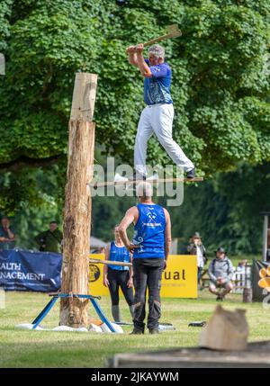 Clywd Axmen à la GWCT Scottish Game Fair 2022, Scone Palace, Perthshire Banque D'Images