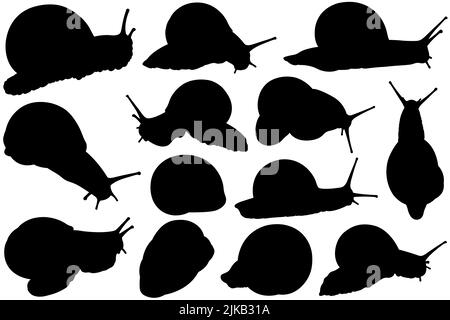 Illustration de différentes silhouettes d'escargot isolées sur blanc Banque D'Images