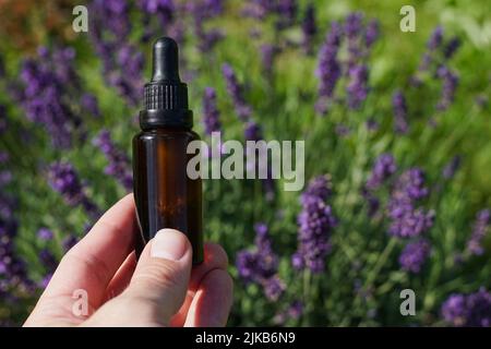 Bouteille compte-gouttes d'huile essentielle à base de plantes avec de la lavande fraîche en fleur sur le fond. Banque D'Images