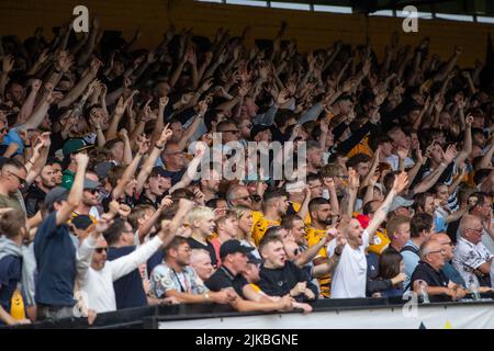 Les fans de football applaudissent et chantent pendant le match. Banque D'Images