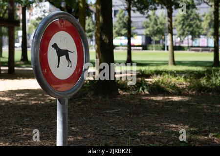 Panneau « interdit aux chiens » dans un parc. Le signe « no-dog » indique que les chiens, également les chiens en laisse, ne sont pas autorisés à rester dans la zone située derrière le signe Banque D'Images