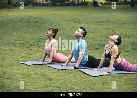 Groupe de jeunes Asiatiques qui pratiquent le yoga dans le parc Banque D'Images