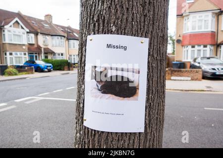 Affiche de chat manquante épinglée à un arbre dans une route résidentielle Banque D'Images