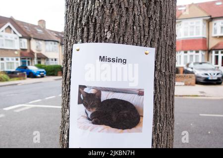 Affiche de chat manquante épinglée à un arbre dans une route résidentielle Banque D'Images