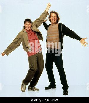 Jim Carrey & Jeff Daniels film: Dumb & Dumber; Dumd and Dumber (USA 1994) personnages: Lloyd & Harry Directeur: Peter Farrelly 06 décembre 1994 **AVERTISSEMENT** cette photographie est à usage éditorial exclusif et est le droit d'auteur d'UN NOUVEAU CINÉMA DE LIGNE et/ou du photographe assigné par la Société de film ou de production et ne peut être reproduite que par des publications dans le cadre de la promotion du film ci-dessus. Un crédit obligatoire pour UNE NOUVELLE LIGNE DE CINÉMA est requis. Le photographe doit également être crédité lorsqu'il est connu. Aucune utilisation commerciale ne peut être accordée sans l'autorisation écrite de la Société du film. Banque D'Images