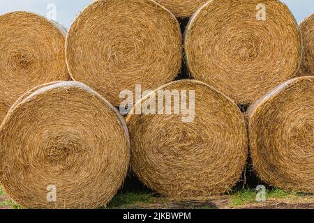 balles de foin empilées après la récolte. paille sèche pressée dans des balles de paille individuelles. vue directe de l'extérieur des balles de foin. structures de foin. petites Banque D'Images