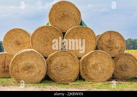 balles de foin empilées après la récolte au bord du champ. paille sèche pressée dans des balles de paille individuelles. Pile de balles de paille. Structures de foin et de St Banque D'Images