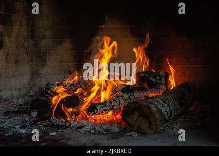 Des bûches de feu dans un four avec de la cendre tout autour Banque D'Images