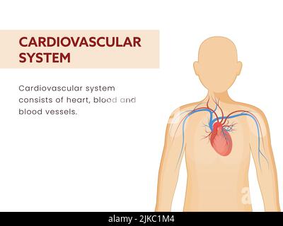 Système cardiovasculaire ou circulatoire conception d'affiche avec une partie de l'organique humain sur fond blanc. Illustration de Vecteur