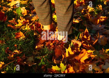 Refocalisation du pied féminin en gros plan dans le pantalon capri et les chaussures brogues sur un arrière-plan de feuilles lumineuses d'automne sec. Femme lumineuse et élégante, manteau orange, qui marche à l'intérieur Banque D'Images