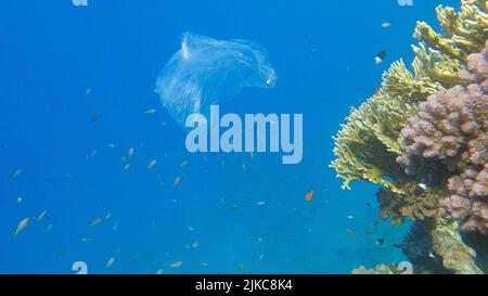 Pollution plastique de l'océan, un sac en plastique de wtite jeté sur le récif tropical de corail, sur le fond bleu de l'eau naine l'école de poissons tropicaux. Non Banque D'Images