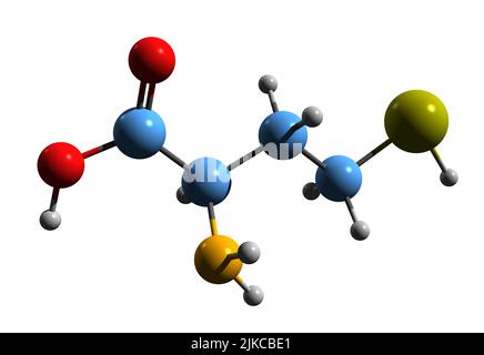 3D image de la formule squelettique de l'homocystéine - structure chimique moléculaire de l'acide 2-amino-4-sulfanylbutanoïque isolé sur fond blanc Banque D'Images