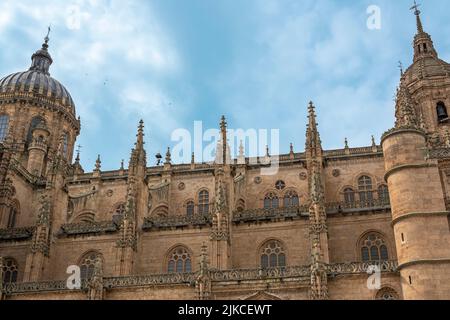 Photo en petit angle de l'aile nord de la majestueuse cathédrale gothique de Salamanque, en Espagne Banque D'Images