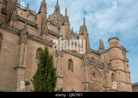 Le mur nord de la cathédrale gothique du XVIe siècle avec la porte des bouquets à Salamanque, Espagne Banque D'Images