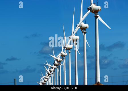 Une forêt de 20 éoliennes produisant de l'électricité, près d'El Canario, Grand Canaria Banque D'Images