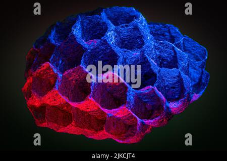 Un gros plan d'un nid de guêpe en dégradé montrant une structure hexagonale isolée sur fond noir Banque D'Images