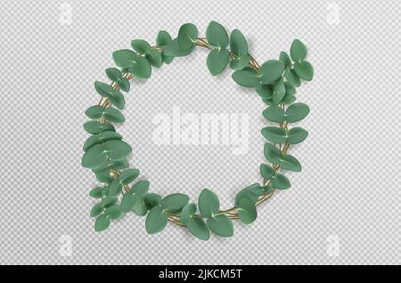 Couronne d'eucalyptus avec feuilles, cadre de branche rond, élément de carte d'invitation. Bordure de plante Evergreen, feuillage vert naturel, décor de mariage réaliste 3D illustration vectorielle isolée sur transparent Illustration de Vecteur