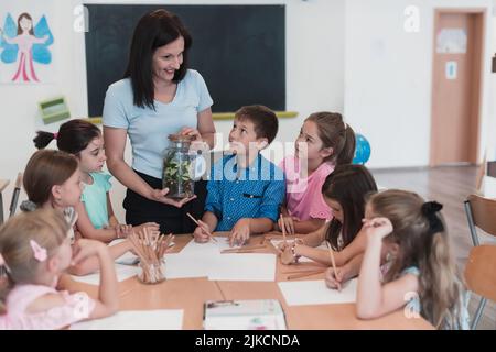 Enseignante avec des enfants en cours de biologie à l'école primaire menant des expériences scientifiques de biologie ou de botanique sur la croissance durable des plantes Banque D'Images