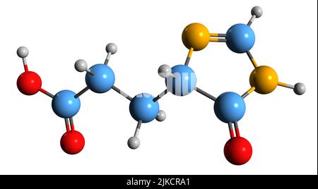 3D image de la formule squelettique de l'acide imidazol-4-one-5-propionique - structure chimique moléculaire de l'intermédiaire du métabolisme de l'histidine isolé sur le bac blanc Banque D'Images