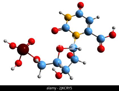3D image de la formule squelettique de l'orotidine 5-monophosphate - structure chimique moléculaire du nucléotide pyrimidine OMP isolé sur fond blanc Banque D'Images