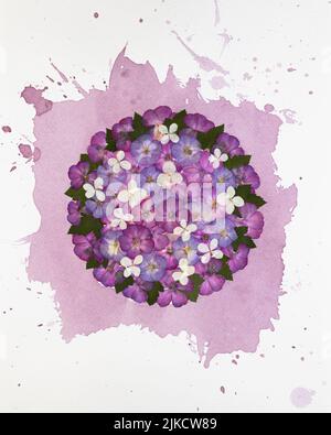 Art moderne floral pressé botanique Oshibana floristry pressé en style boho, une composition de plantes sèches et des éclaboussures de vin rouge sur fond blanc. Banque D'Images