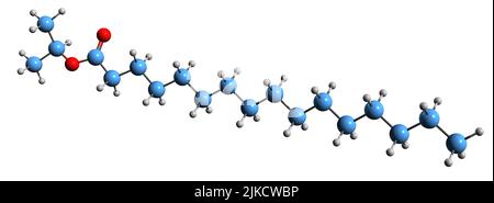 3D image de la formule squelettique de palmitate d'isopropyle - structure chimique moléculaire de l'ester isopropylique d'acide hexadecanoïque isolé sur fond blanc Banque D'Images