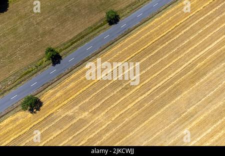 une vue aérienne d'une route droite à côté d'un champ cultivé, blé, récolte Banque D'Images