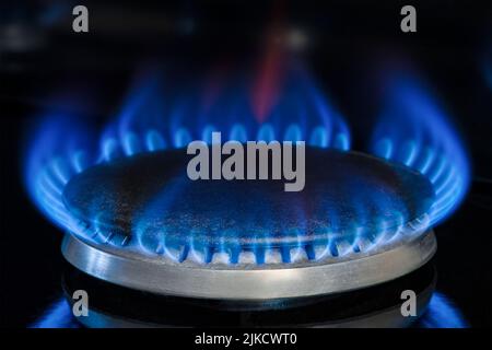 Combustion de gaz naturel, propane. Cuisinière à gaz sur fond noir. Fragment d'une cuisinière à gaz avec une flamme bleue, gros plan. Crise énergétique Banque D'Images