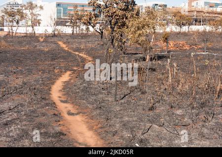 Les restes de broussailles d'un feu de broussailles peut-être arson près de la réserve indienne de Karriri-Xoco et de Tuxa dans la partie nord-ouest de Brasilia, au Brésil Banque D'Images