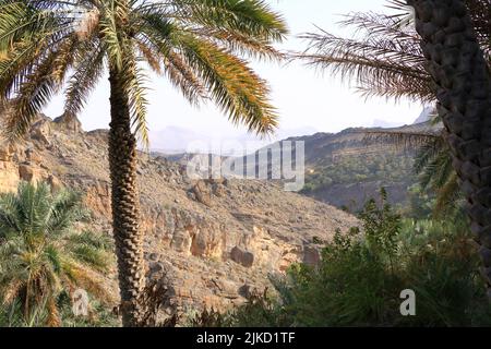 Vue panoramique depuis une vieille maison Misfah à Misfat al Abriyeen Banque D'Images