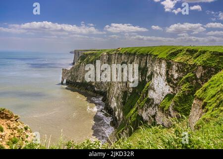 Une vue sur la côte du Yorkshire de l'est des falaises de Bempton et Flamborough. Les falaises abritent des milliers d'oiseaux marins qui nichent sur les falaises. Banque D'Images