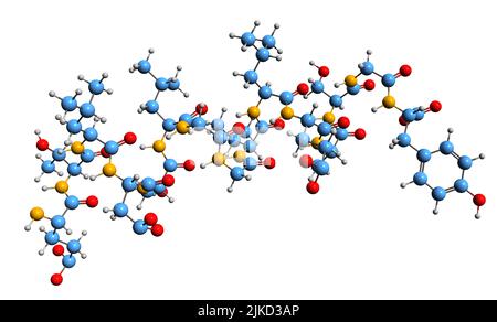 3D image de la formule squelettique de la leptine - structure chimique moléculaire de l'hormone des cellules adipeuses isolée sur fond blanc Banque D'Images